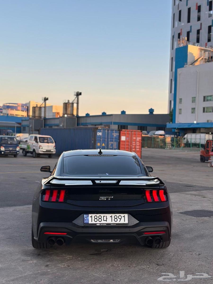 Mustang Performance 2024 (Sold)63400888789762111
