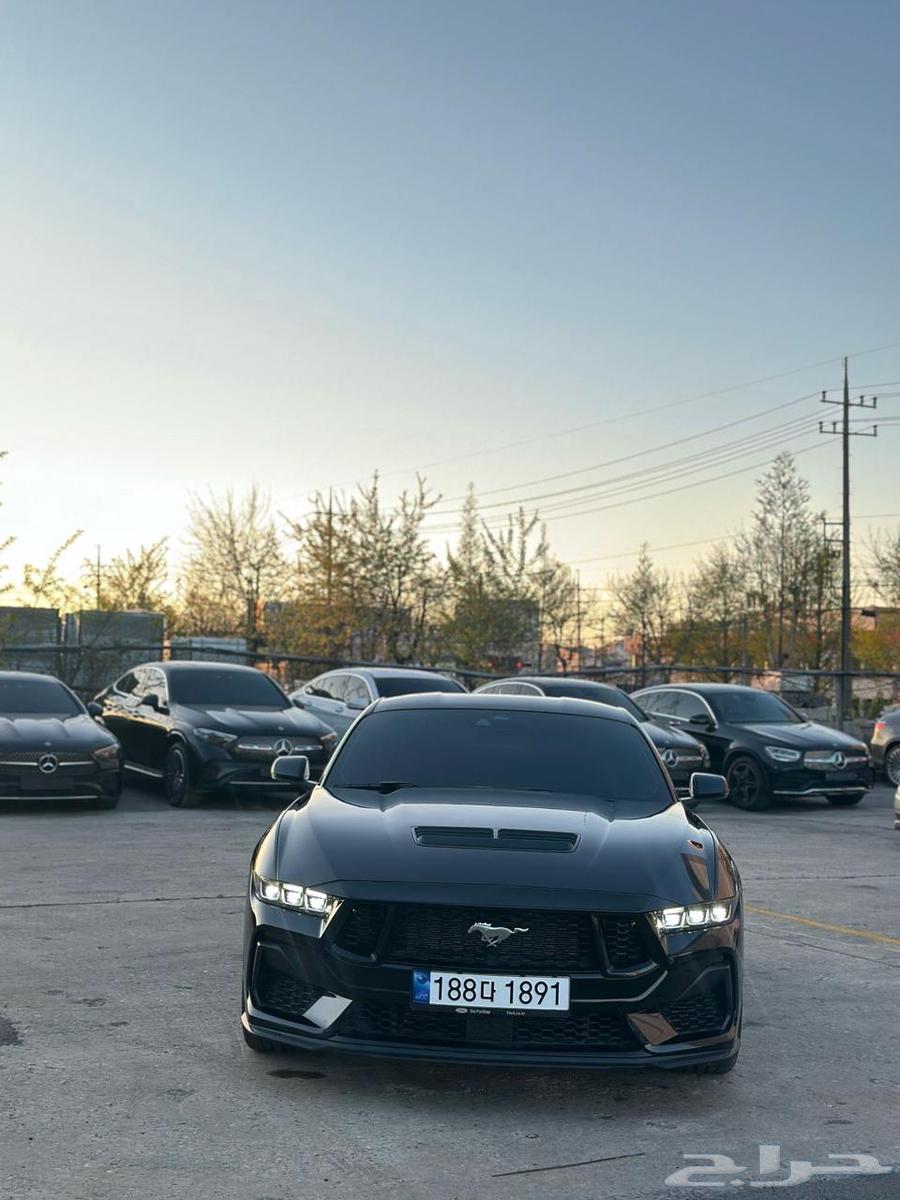 Mustang Performance 2024 (Sold)63400888789762112