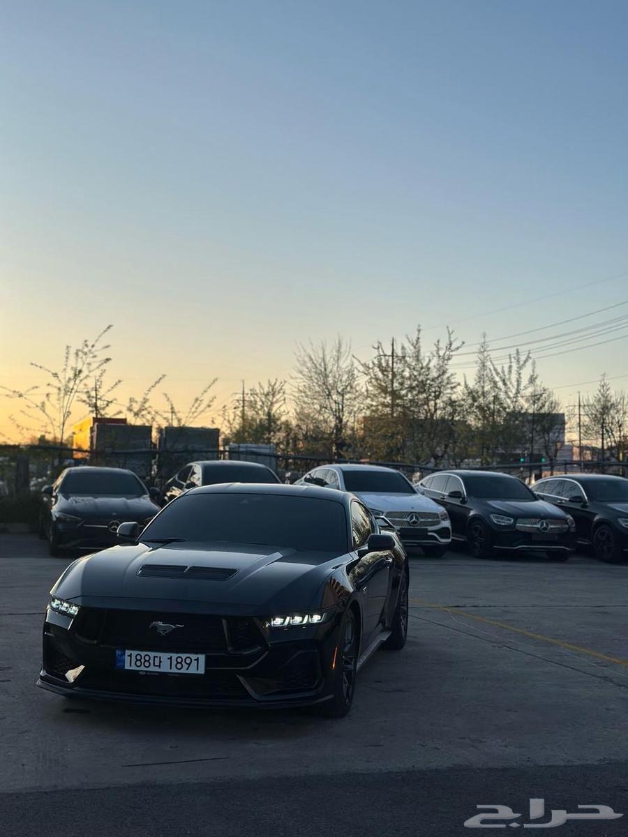 Mustang Performance 2024 (Sold)63400888789762114
