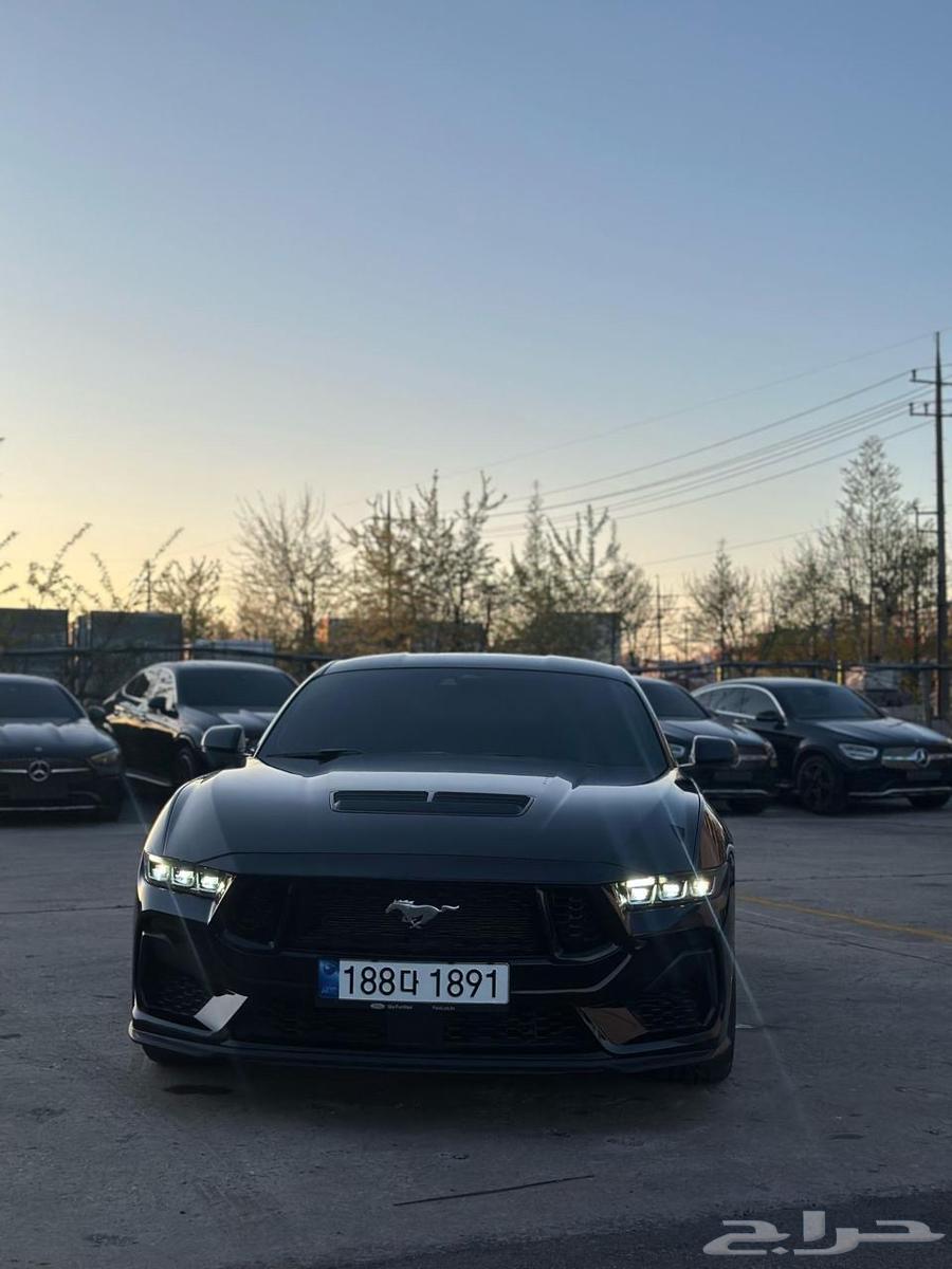 Mustang Performance 2024 (Sold)63400888789762113