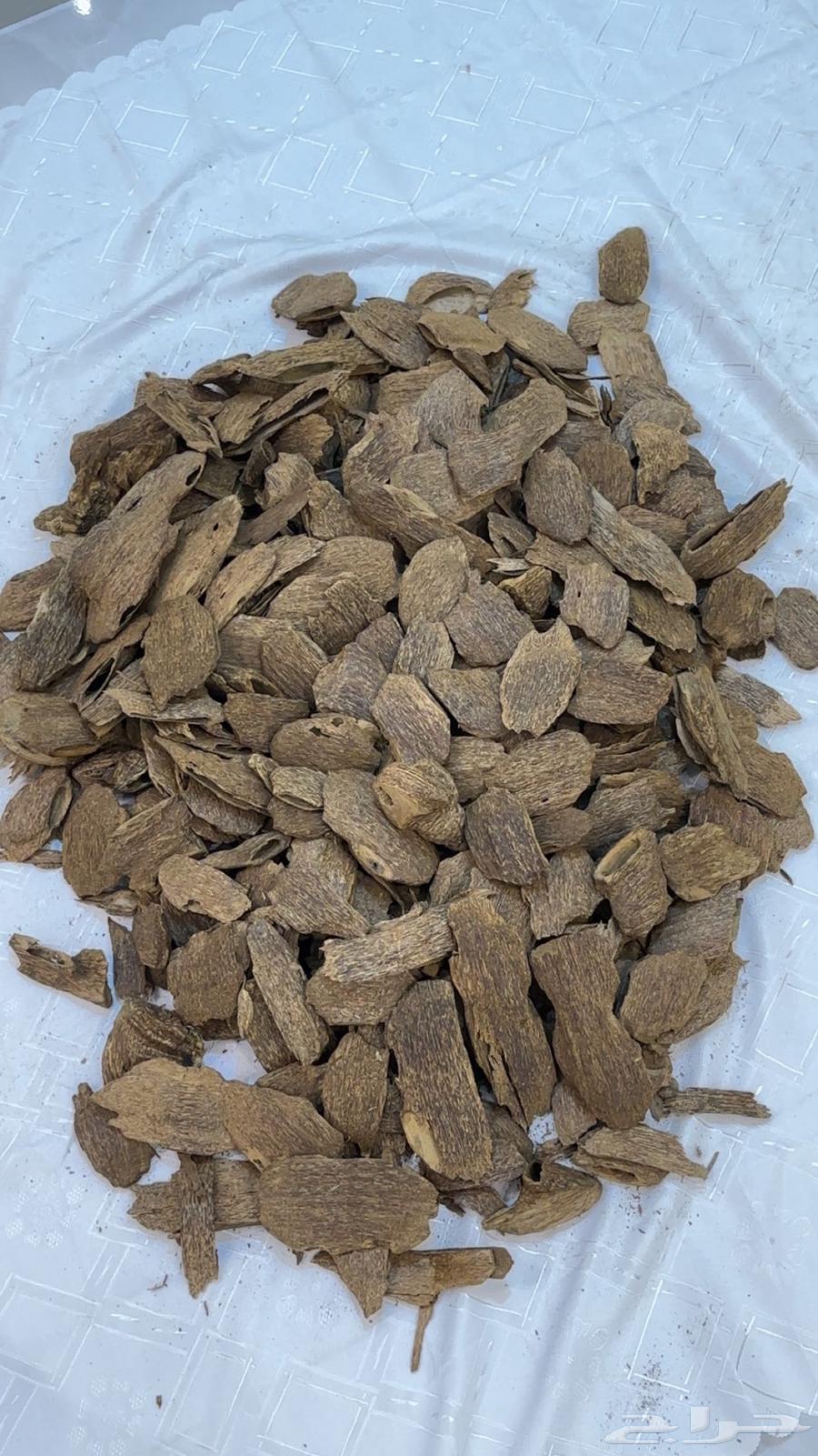 عود طبيعي مميز يجمع مابين السومطري والكلمنتان يسمى حدودي63224072553090111