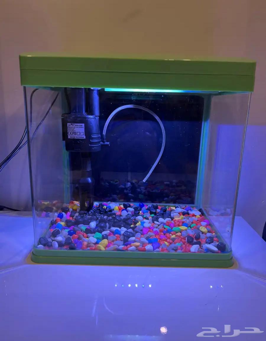 Large fish tanks633921456887051111