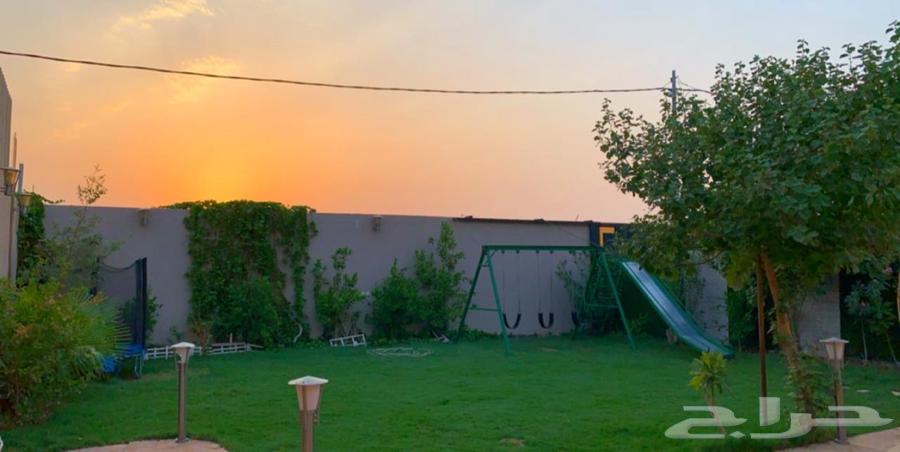 استراحة قصور ال مقبل للايجار63380247012099114