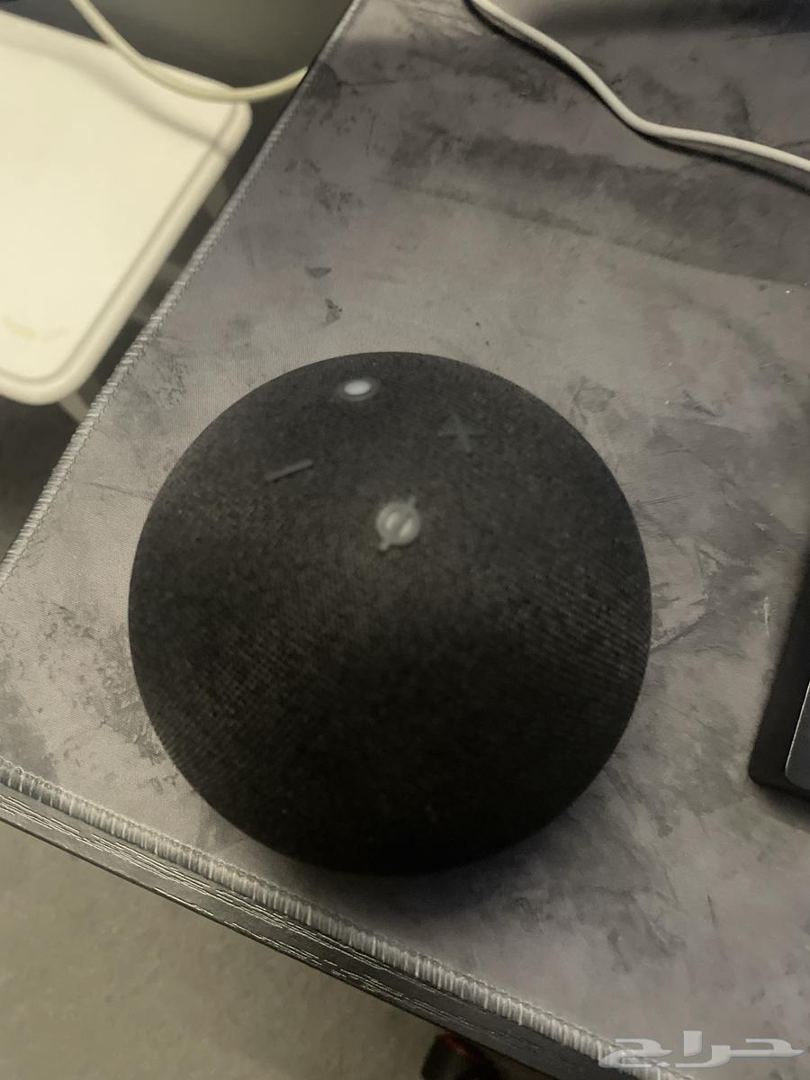 Alexa for sale63391719092353110