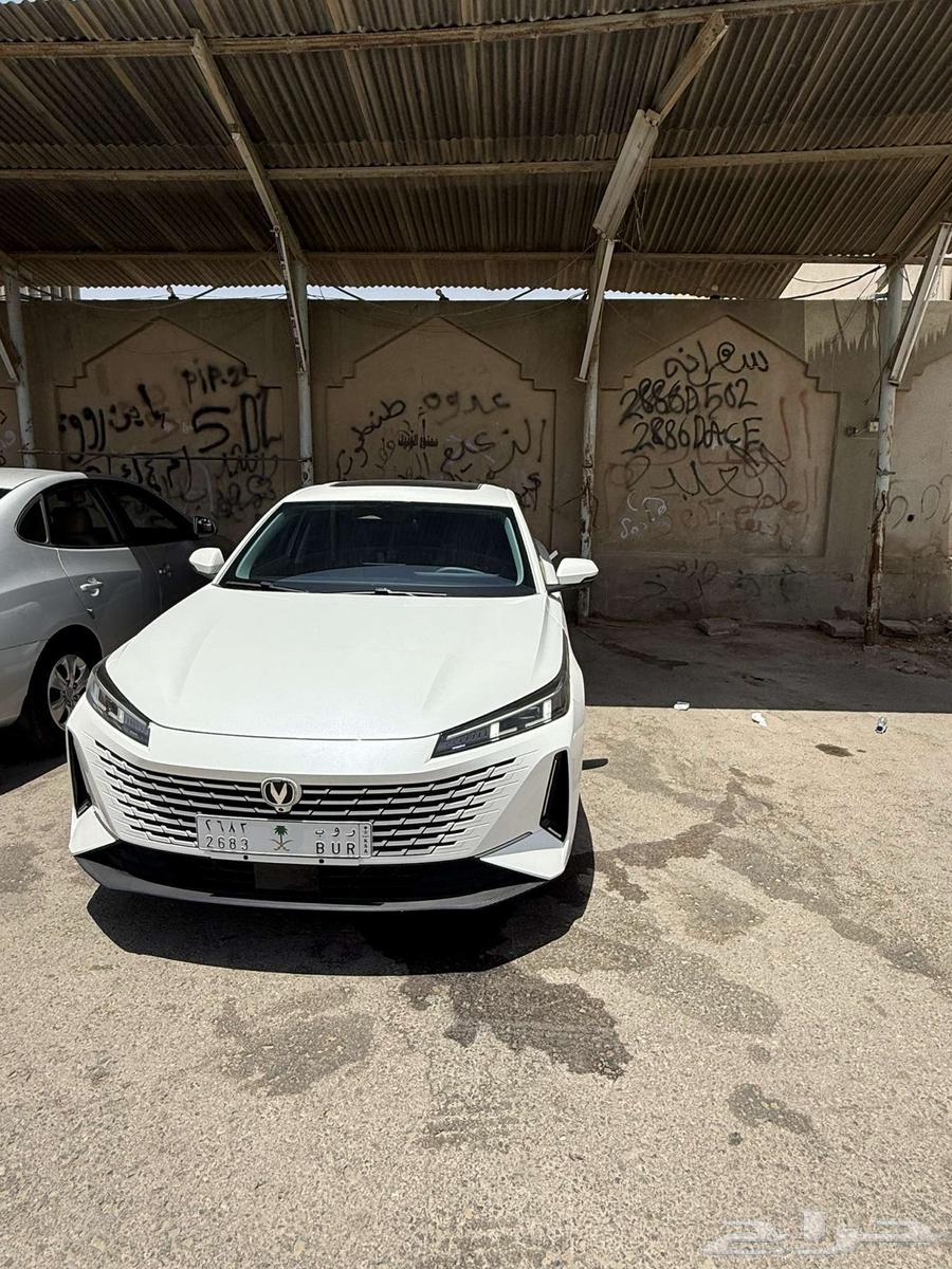 شنجان ايدو ليمتد 202563399546805377113
