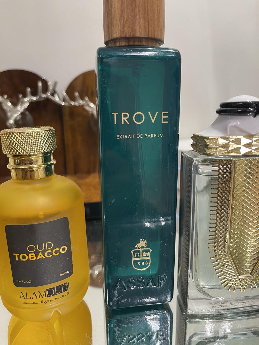 للبيع خمس عطور رجاليه جميله وتد ورسيس ودرعه وعساف والعمودي63402971554305113