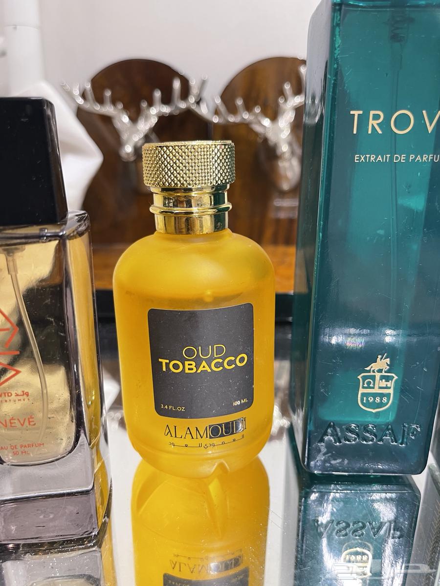 للبيع خمس عطور رجاليه جميله وتد ورسيس ودرعه وعساف والعمودي63402971554305112