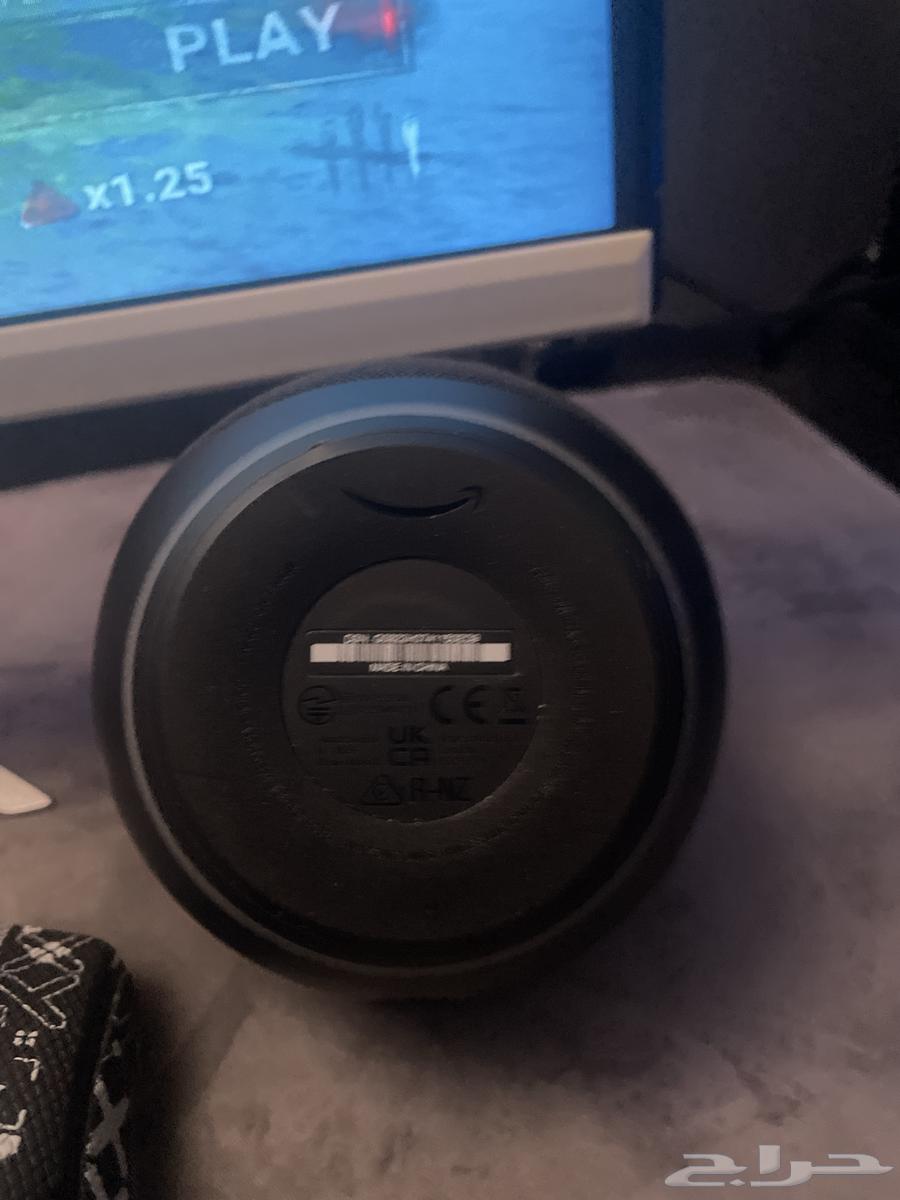 Alexa for sale63391719092353112
