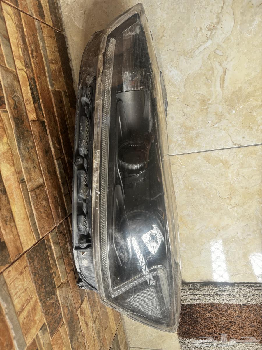 انوار كادينزا63398171556738112