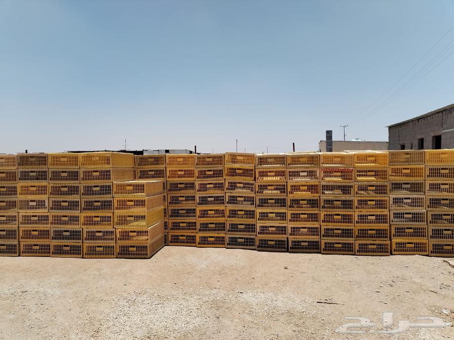 اقفاص دجاج جديد ومستعمل في الخرج63392522132226114
