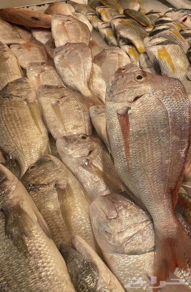 For sale: fish and shrimp63402955165186112