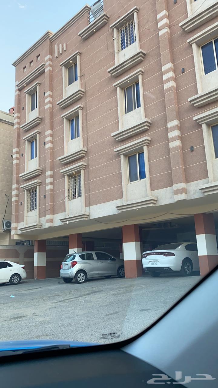 شقتين للبيع حي النور (( بسعر لقطه ))63380247168515111