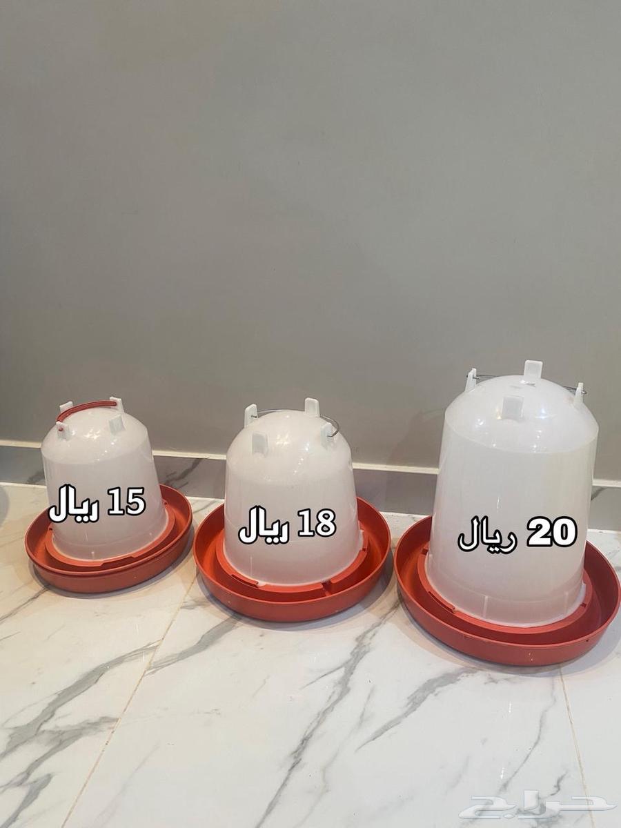 مستلزمات طيور شبك ومعالف ومساقي وشبكة طيور63391847472002111