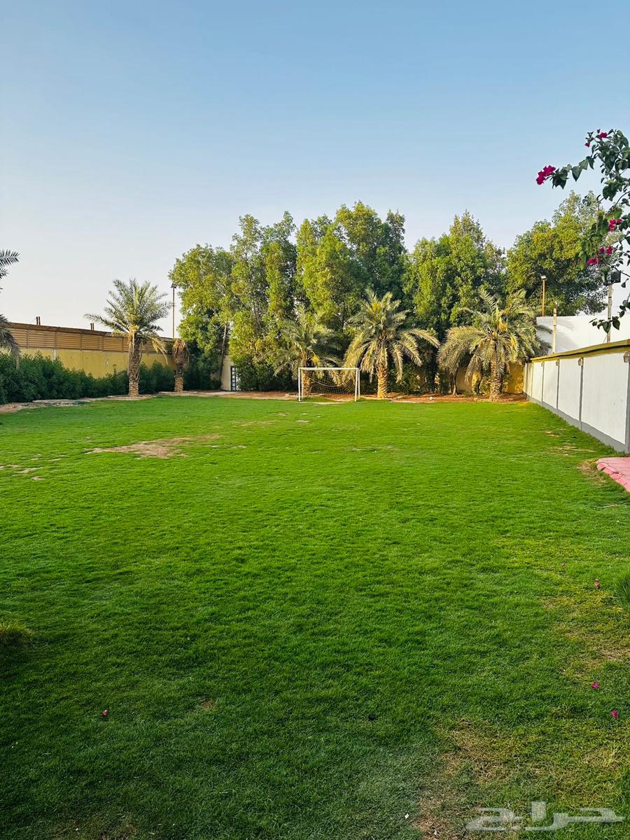 Stars Rest North of Riyadh Daily Rental63381054505858116