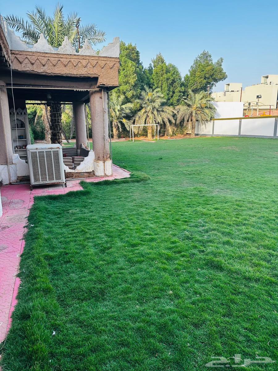 Stars Rest North of Riyadh Daily Rental63381054505858111