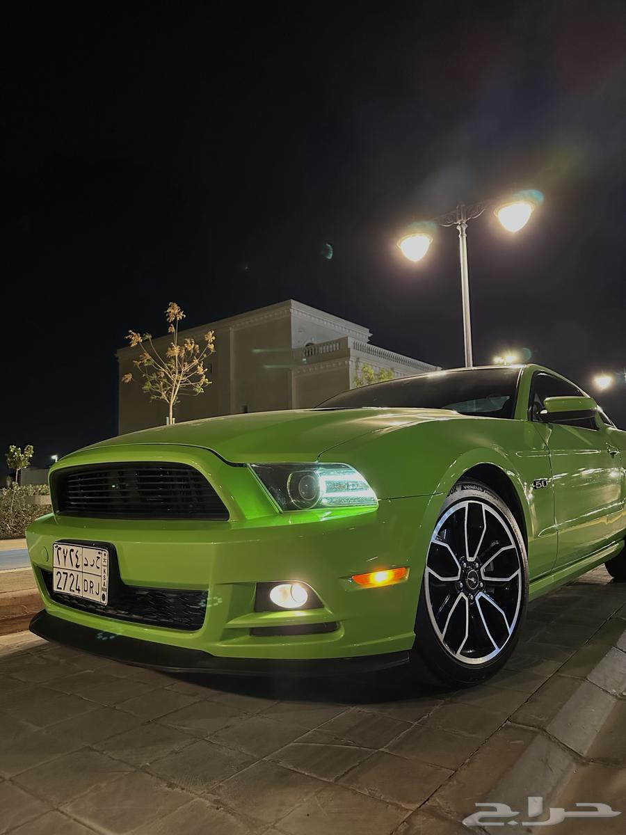 Mustang GT 2013 Panorama63394557704706112