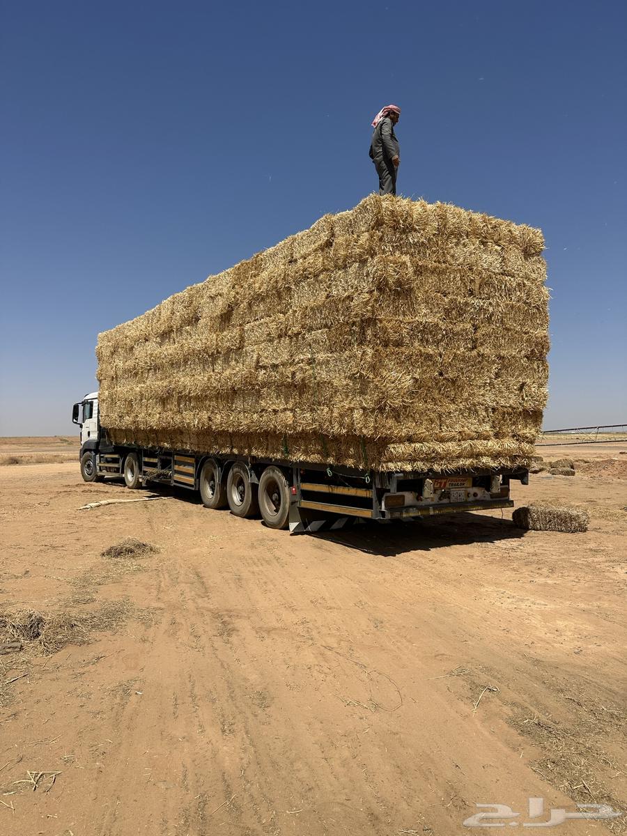 Wheat straw became a company63390043603586112