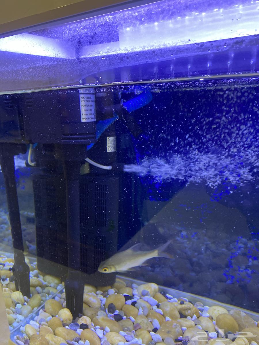 80-liter fish tank63390393569283112