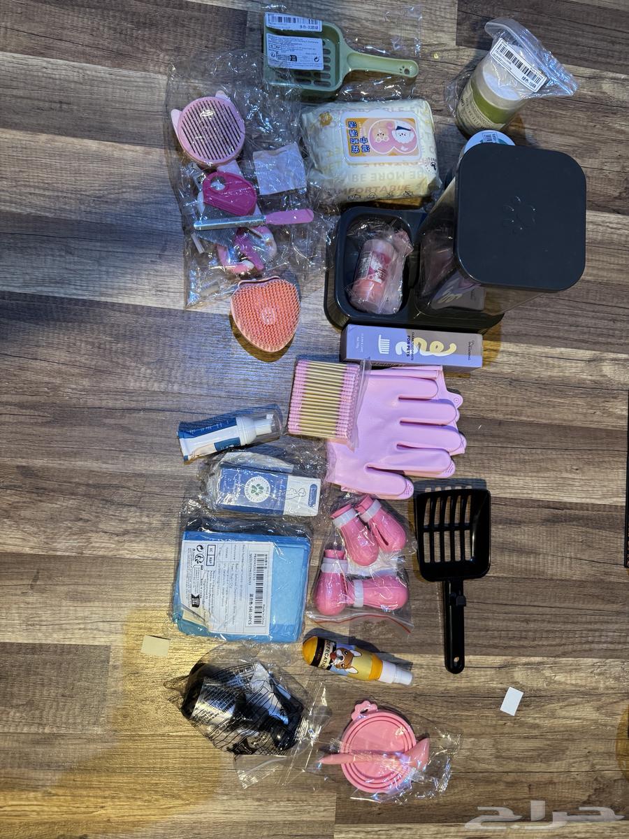 Items for a complete cat63380980017154111