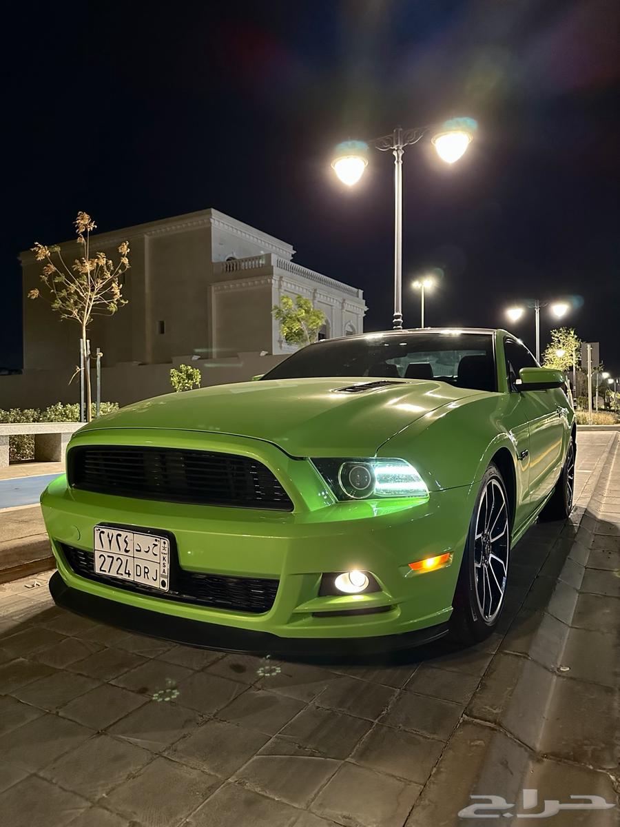 Mustang GT 2013 Panorama63394557704706111