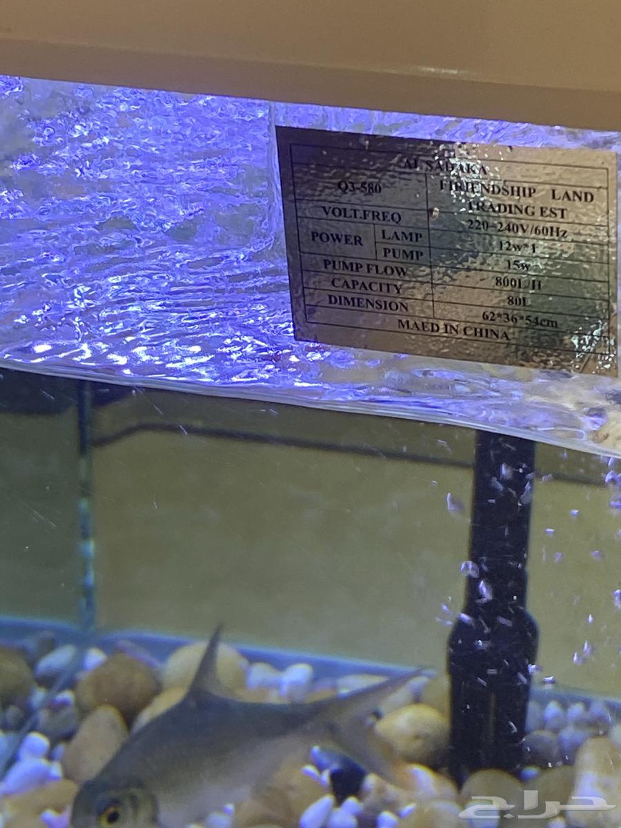 80-liter fish tank63390393569283111