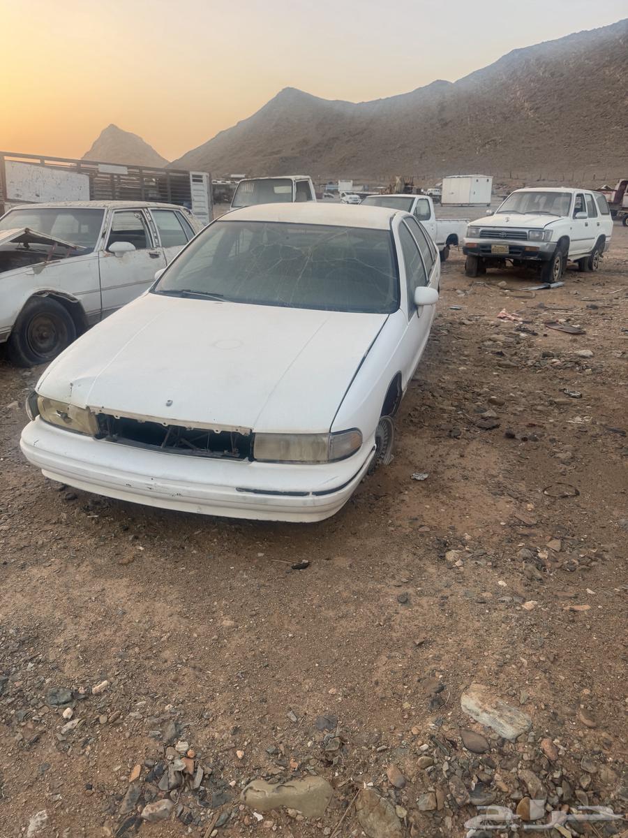 كابرس للبيع بدون ورق63396365357698112