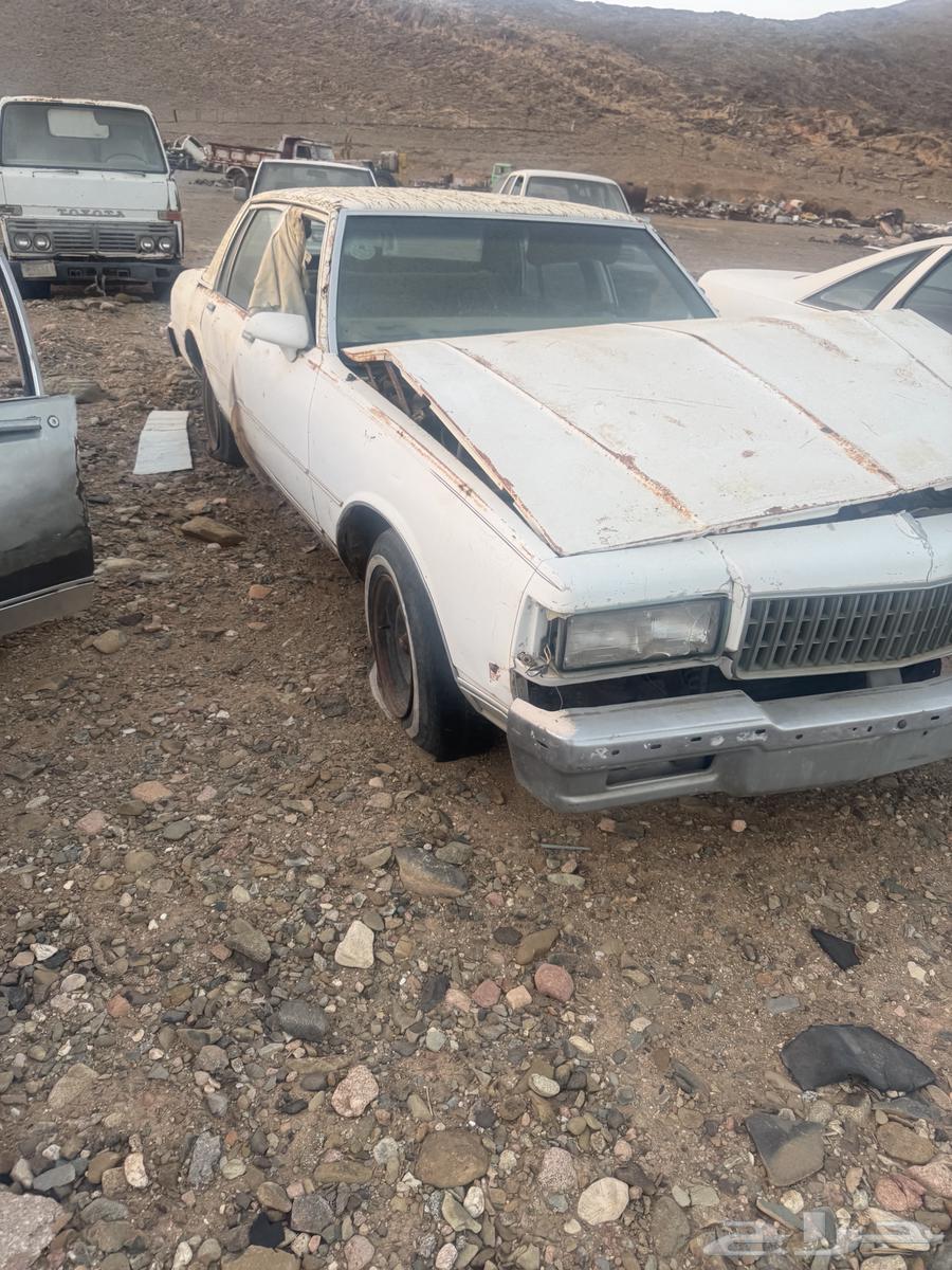 كابرس للبيع بدون ورق63396365357698113