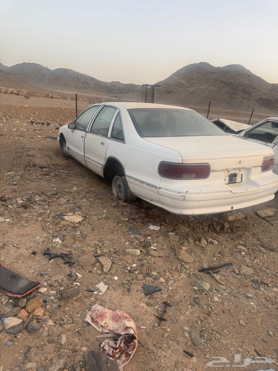 كابرس للبيع بدون ورق63396365357698110