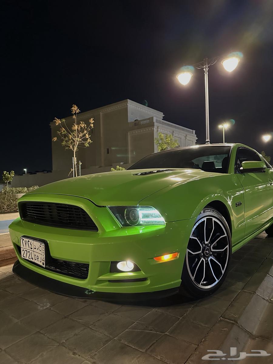 Mustang GT 2013 Panorama63394557704706113
