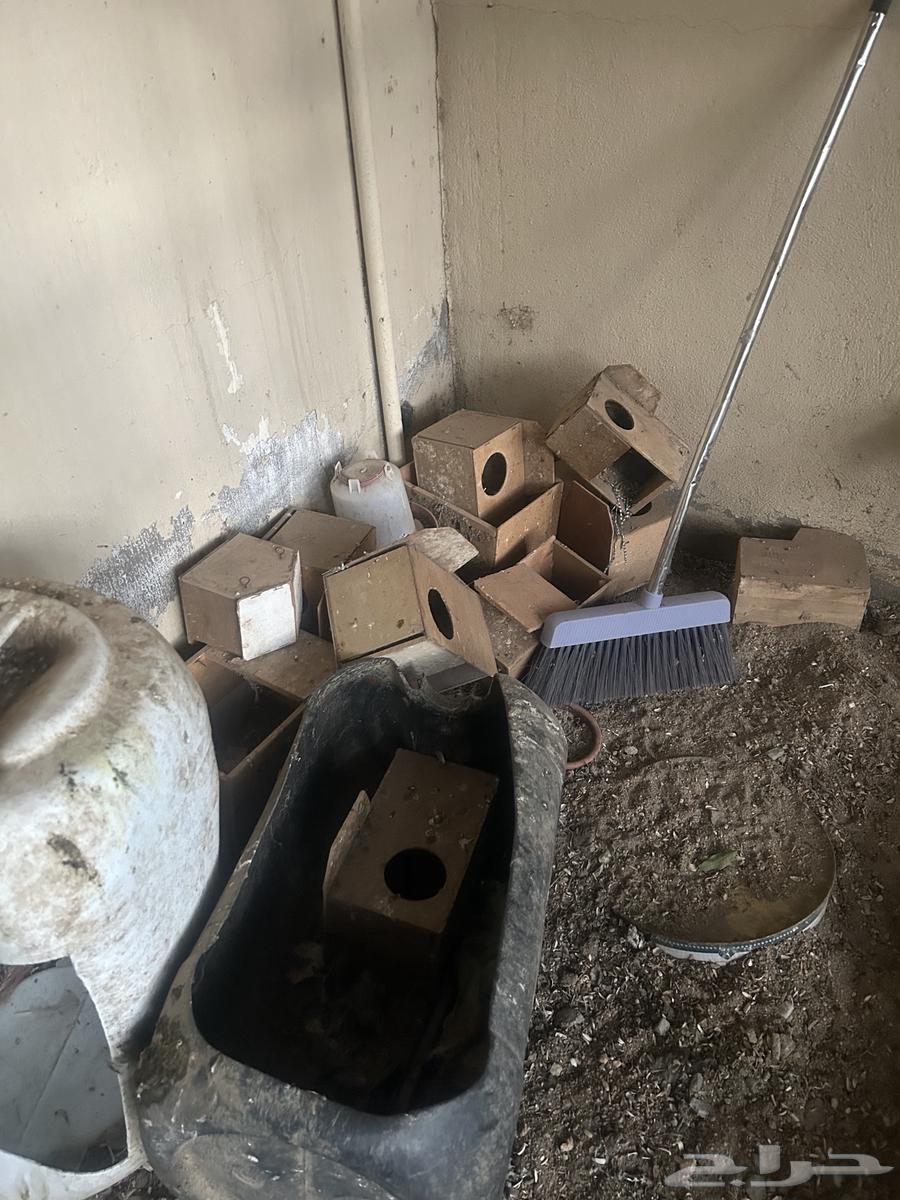 اقفاص طيور بحاله ممتازه63390899036419112