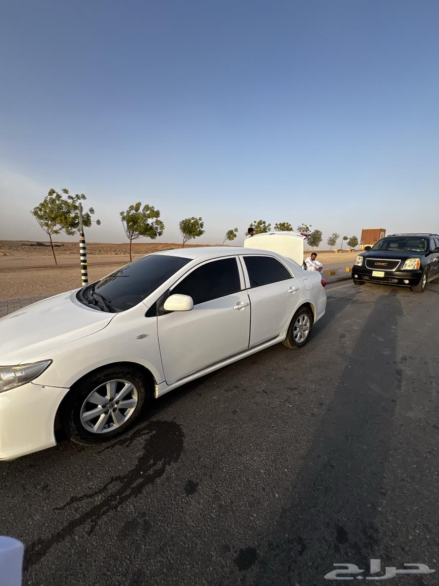كورولا63394533521794114
