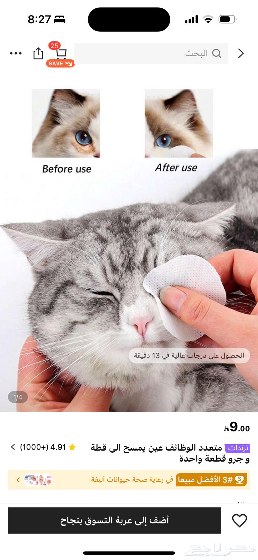 Items for a complete cat63380980017154114