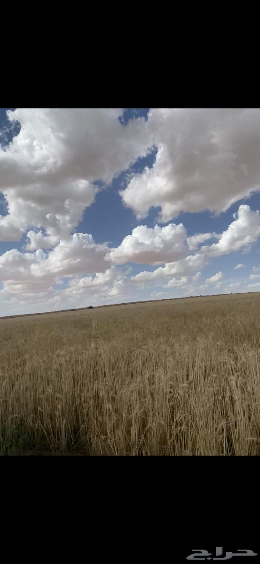 Farm - Farms for sale, rent, investment, and agricultural equipment63380148053249112