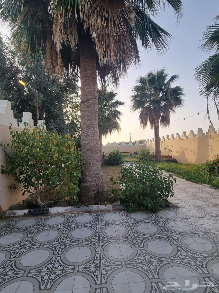 مزرعة للبيع في المليداء الشمالية63380117508610112