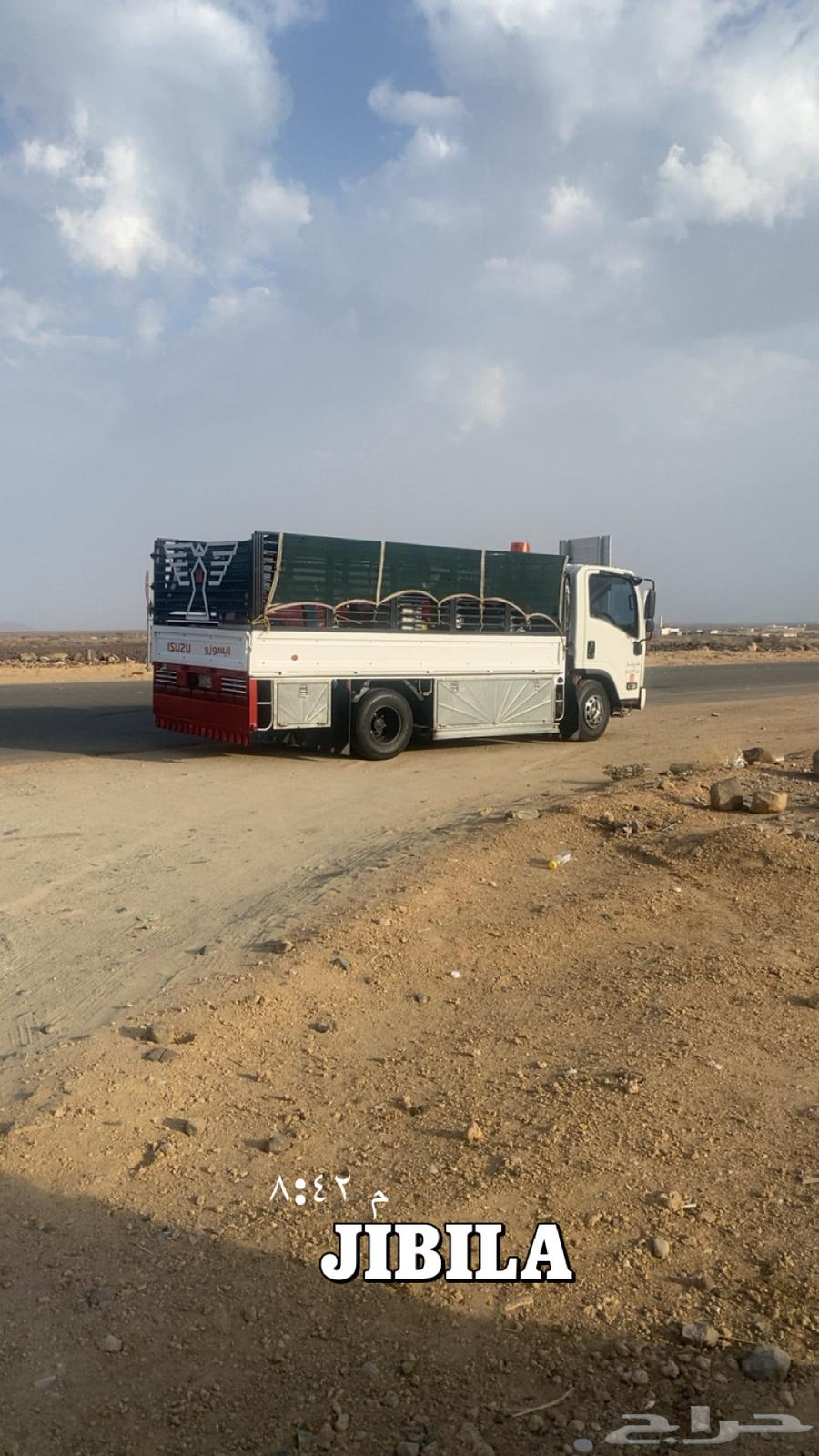 دينه دينا نقل داخل المجارده وخارج63381731524993111