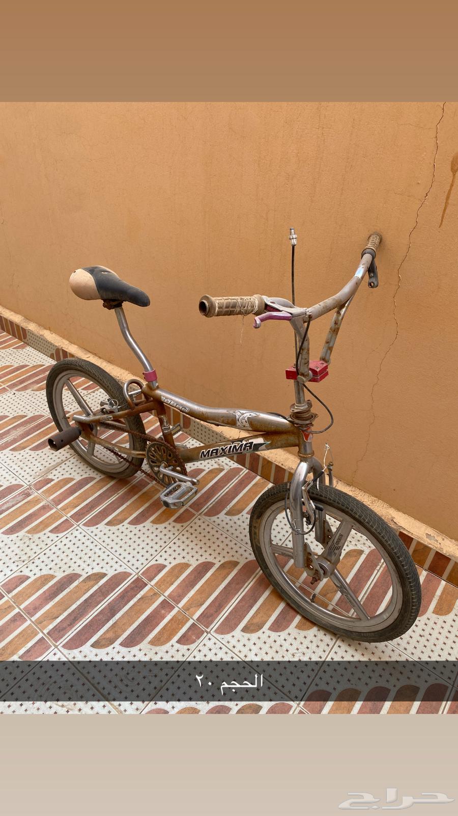 5 bicycles for sale63388274138243114