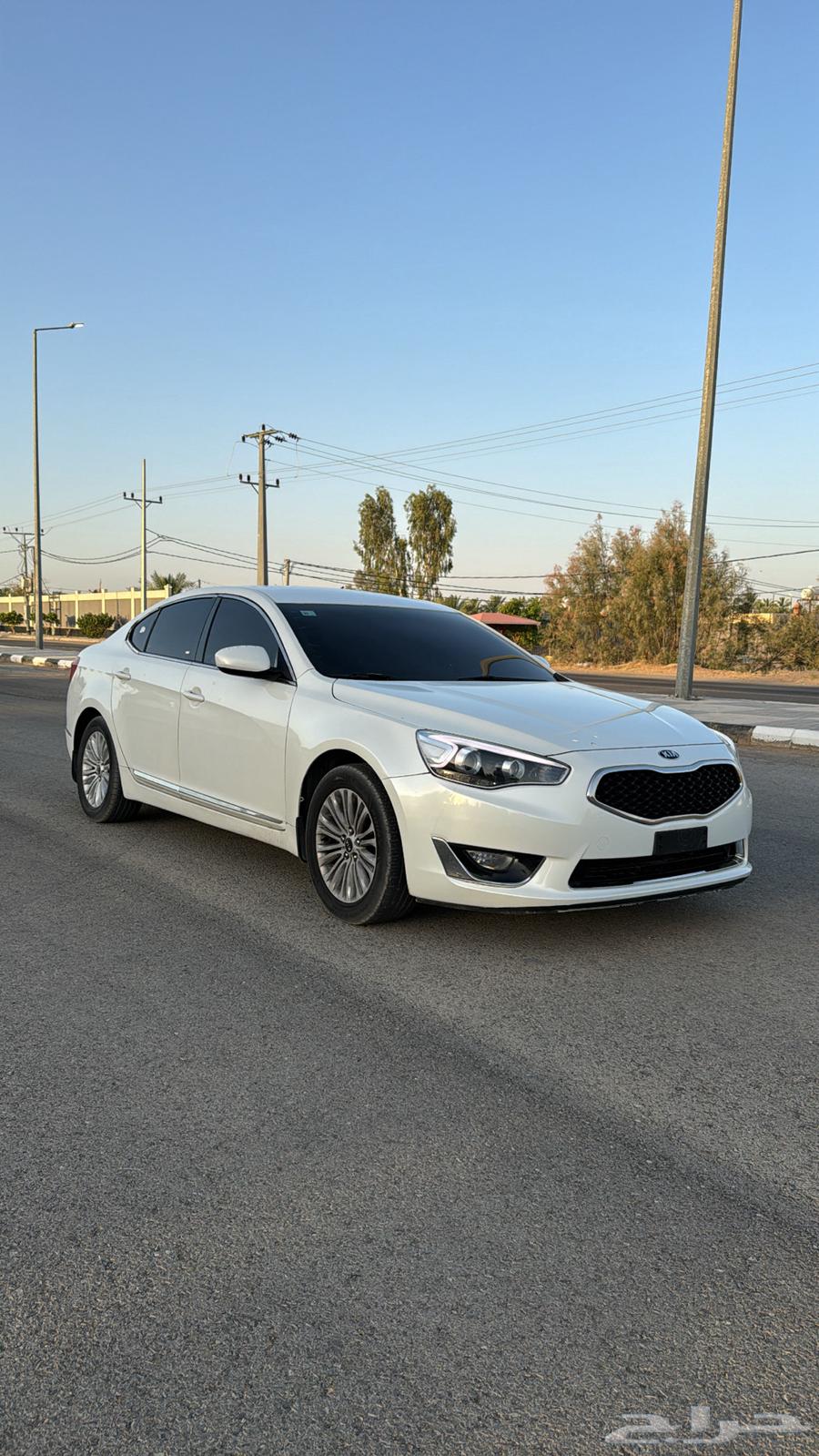 تم البيع63390652256899113
