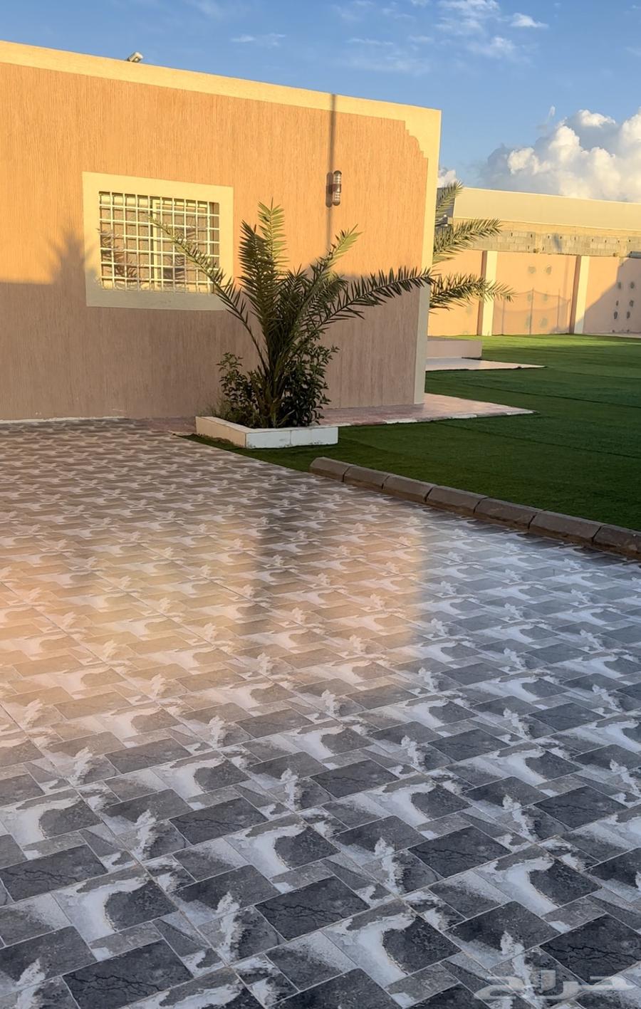 A furnished apartment for rent in Abha, Al Mahalla, close to the main road63381116783746112