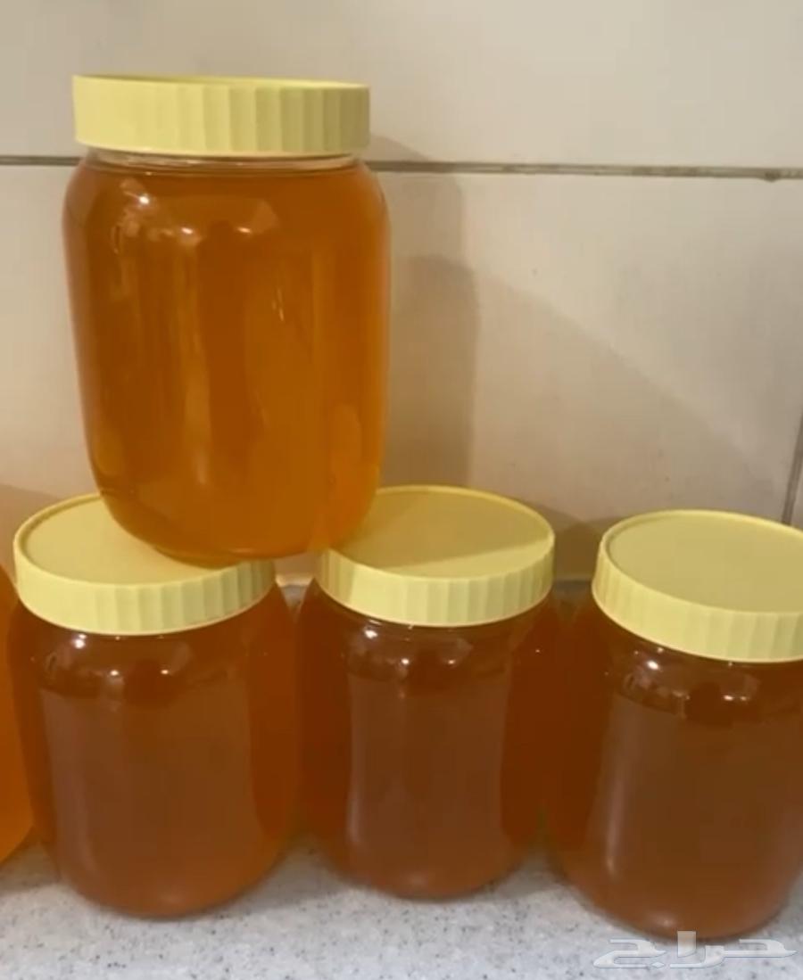 سمن بقر بلدي63386646055297111