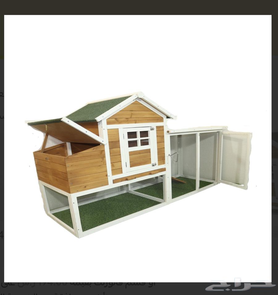 Modern Chicken Coop63387040380675112