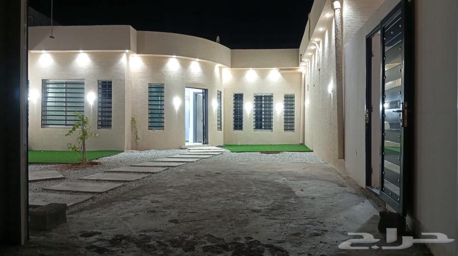 For rent daily63381116953987114