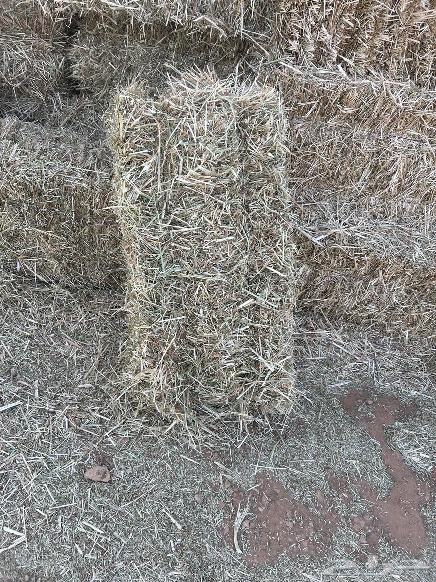 Barley and wormwood mixture63388299545602111