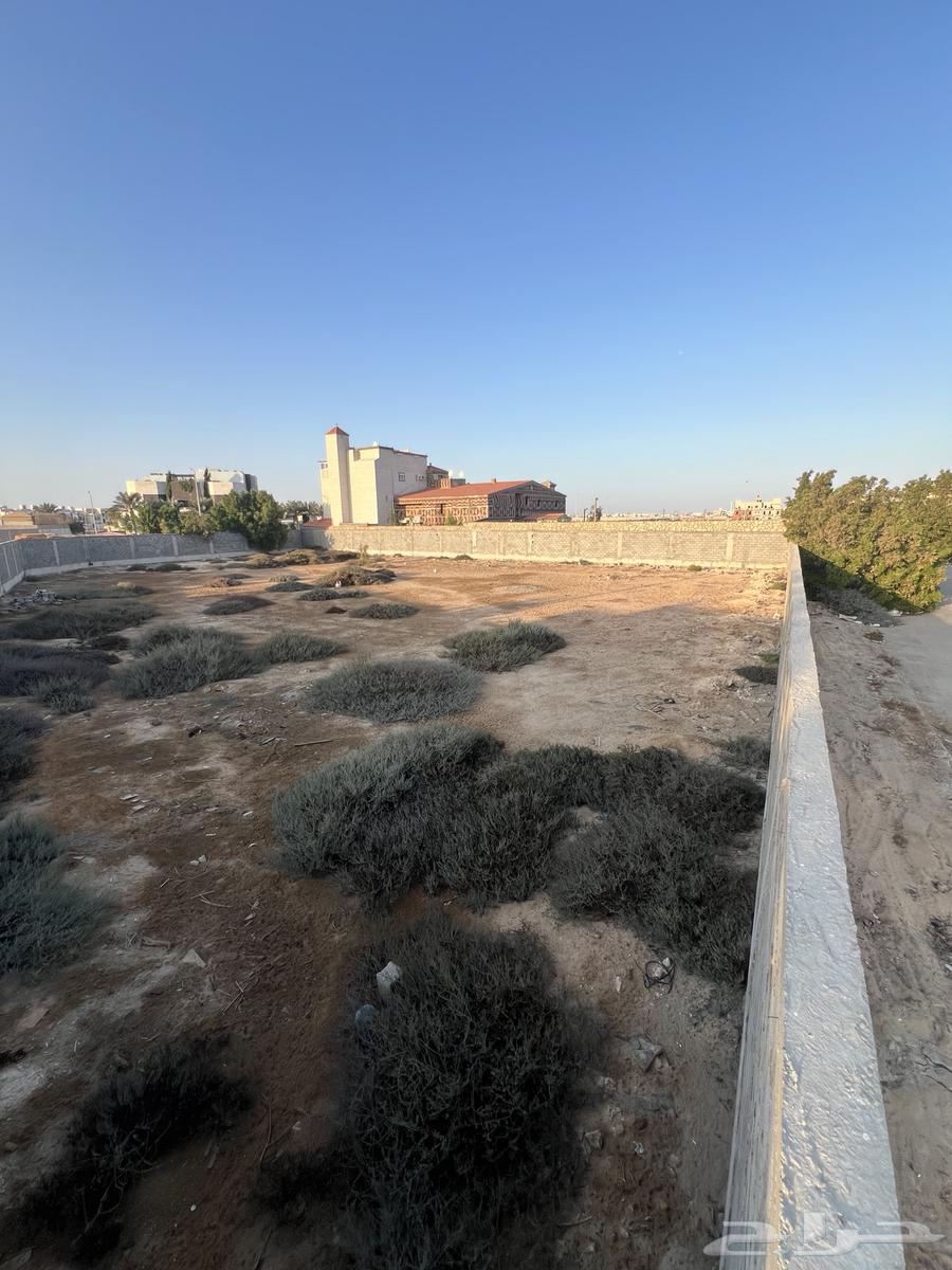 For sale, a divided land into two parts, Al Lu'lu' neighborhood, easy plan, area 336, street 16.63381086220418111