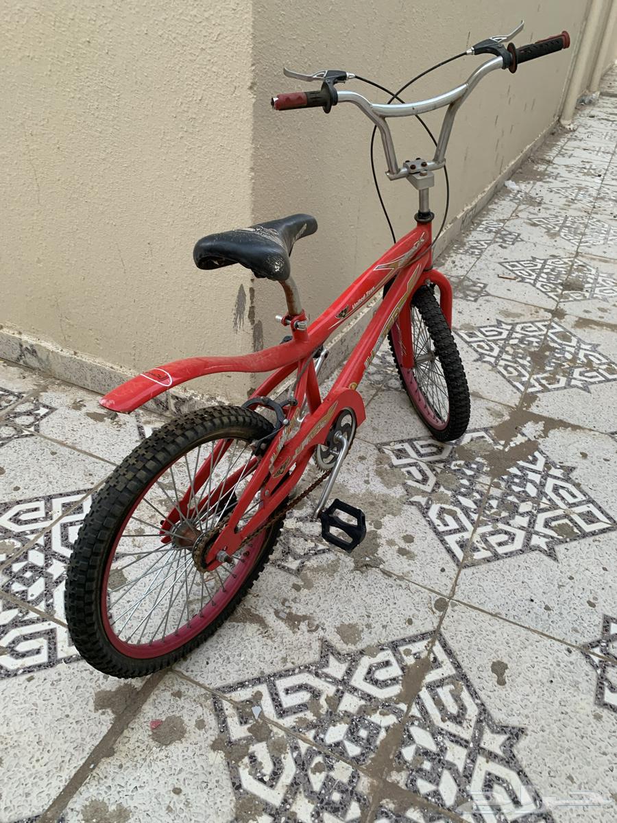 Cobra cycle for sale, and the reason is that the car needs repair.633867763435531128