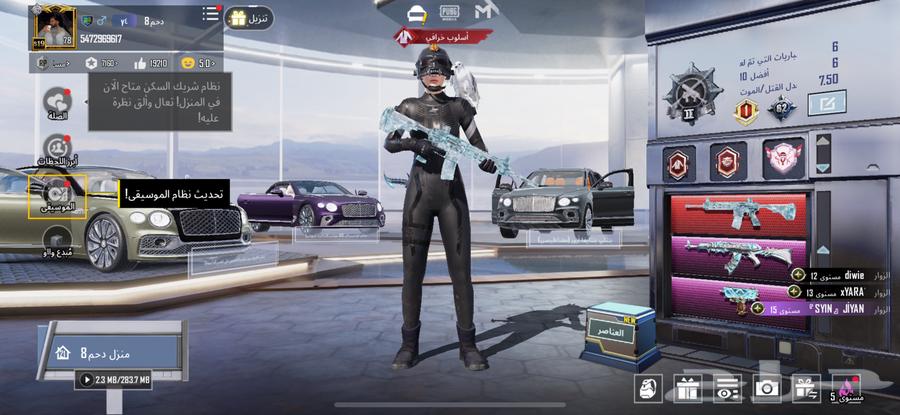 PUBG Global Account M4 Snow Max63387642110211111