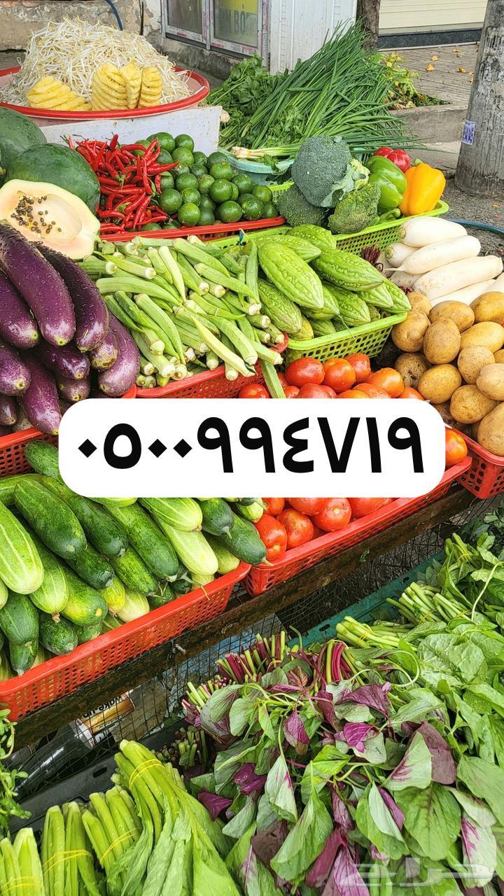 خضروات و فواكه تبوك توصيل مجاني63387588905345111