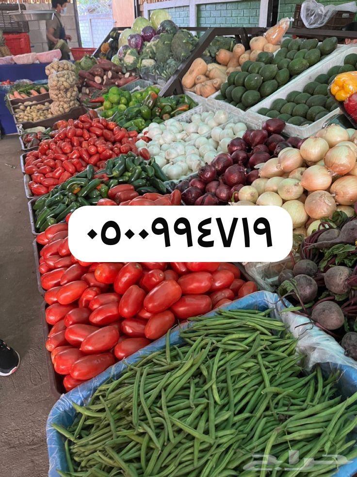 خضروات و فواكه تبوك توصيل مجاني63387588905345112