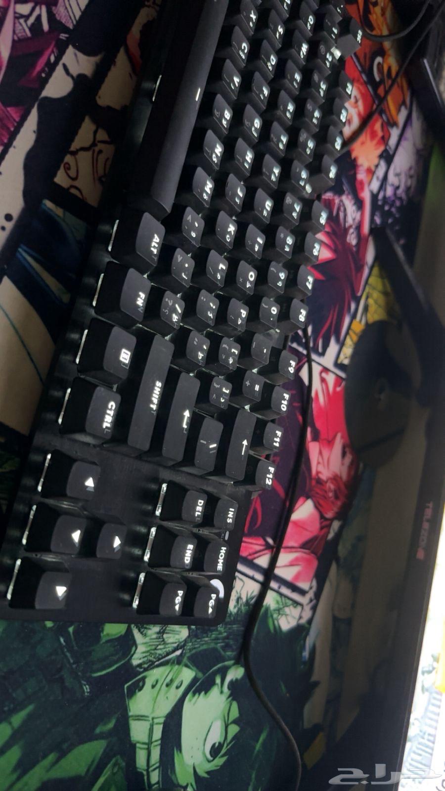كيبورد جديد قيمنج احترافي Logitech G413 TKL SE63386408904706111