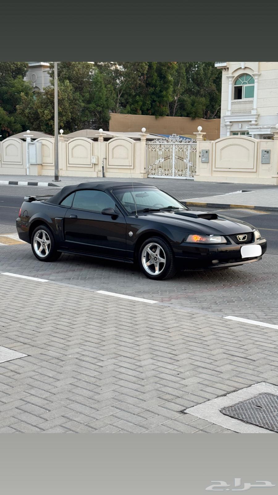 موستنق GT 2004 اصدار 40 عام بحالة الوكاله63389166557570111