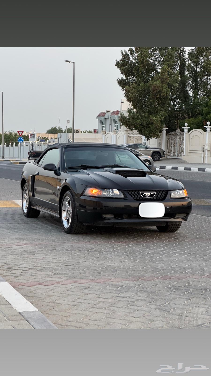 موستنق GT 2004 اصدار 40 عام بحالة الوكاله63389166557570113